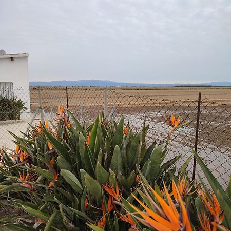 Caseta Del Chato Deltebre Εξωτερικό φωτογραφία