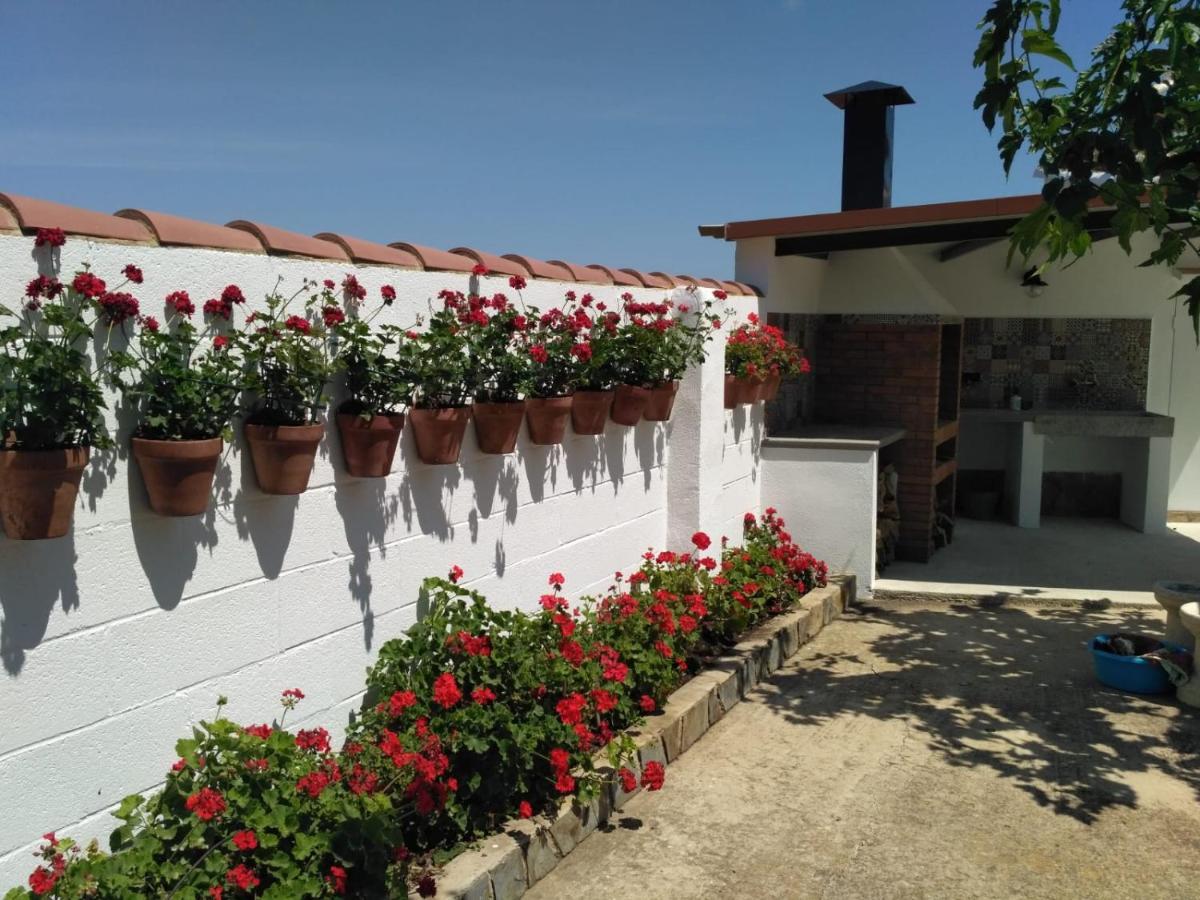 Caseta Del Chato Deltebre Εξωτερικό φωτογραφία