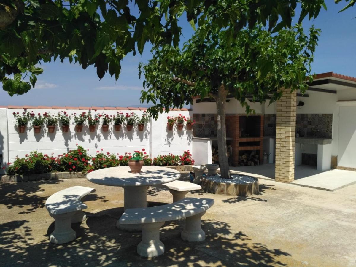 Caseta Del Chato Deltebre Εξωτερικό φωτογραφία