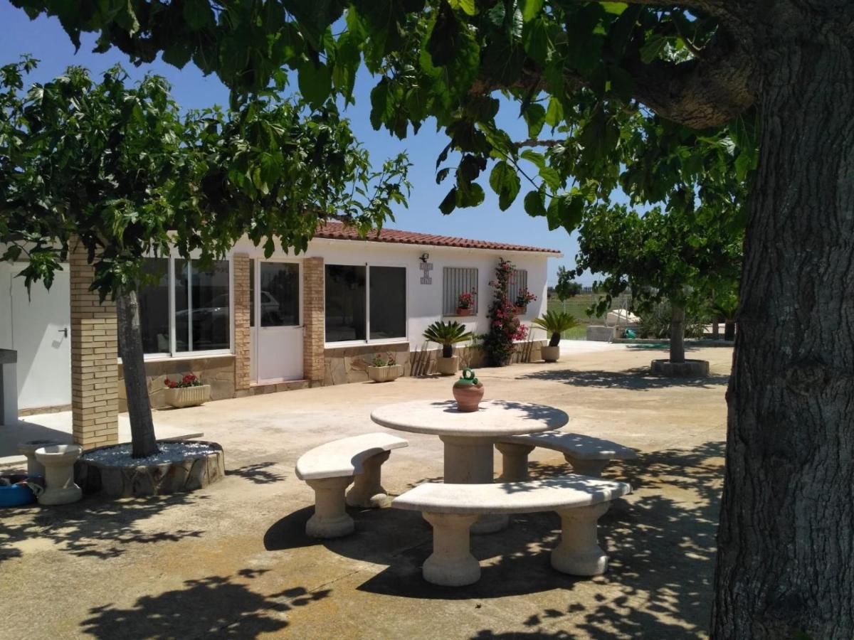 Caseta Del Chato Deltebre Εξωτερικό φωτογραφία