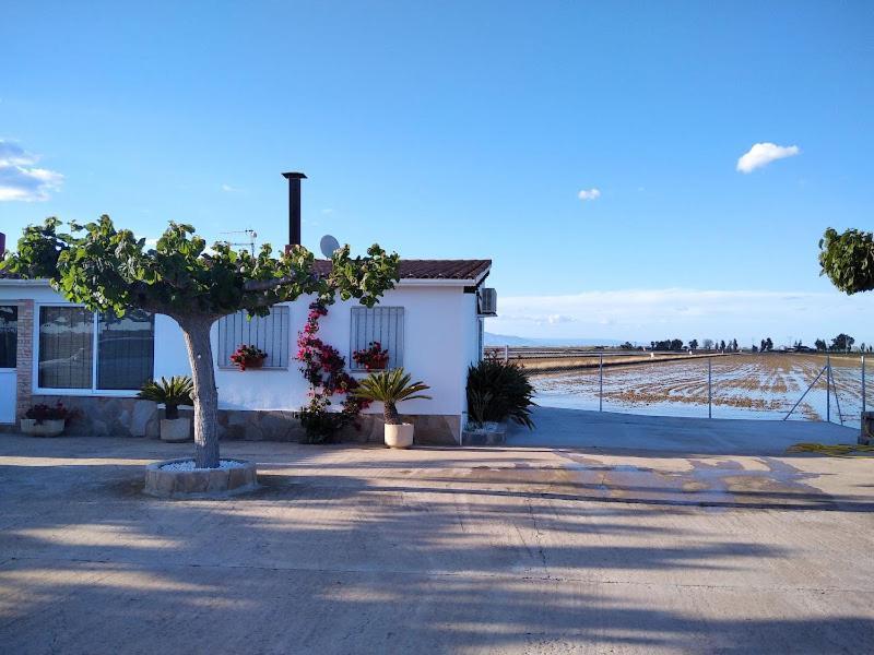 Caseta Del Chato Deltebre Εξωτερικό φωτογραφία