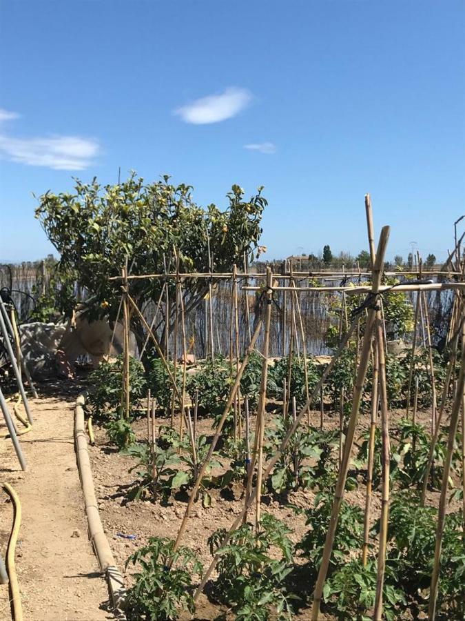 Caseta Del Chato Deltebre Εξωτερικό φωτογραφία